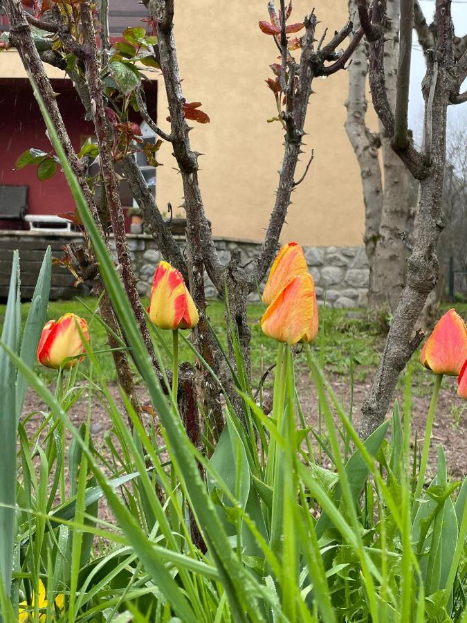 Casita Bonita Villa Castejón de Sos Kültér fotó