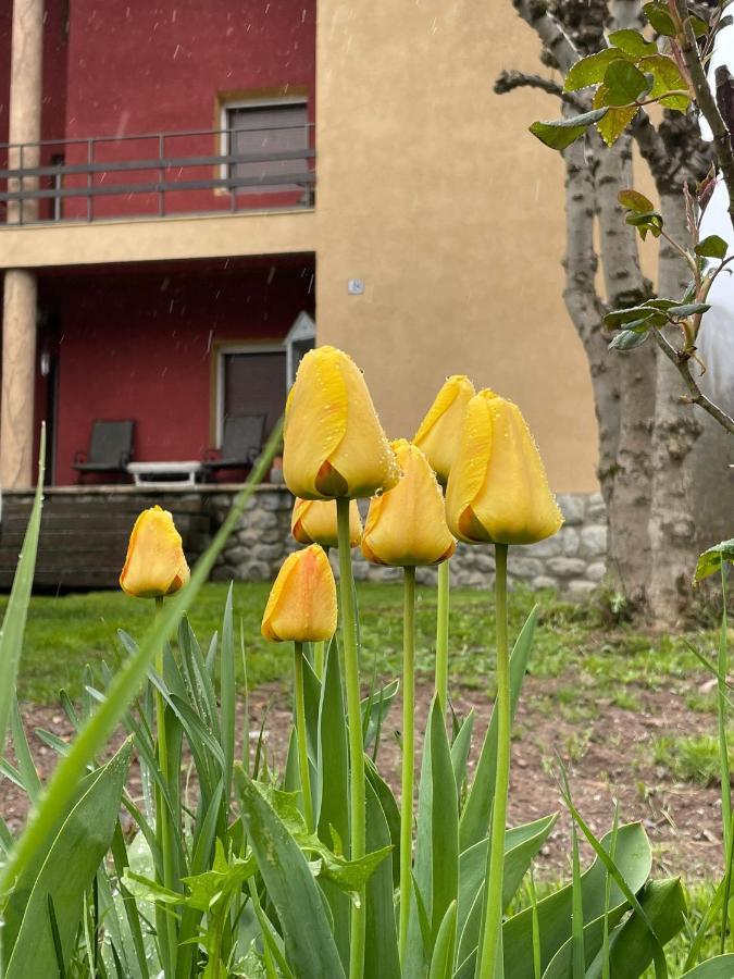 Casita Bonita Villa Castejón de Sos Kültér fotó